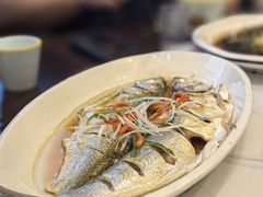 清蒸白丝鱼-状元楼(金溪路店)