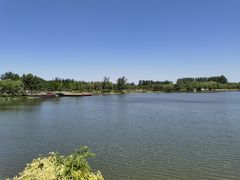 -东郊湿地公园