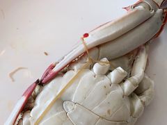 -港畔赶海蒸汽海鲜烧烤自助(仙螺岛店)