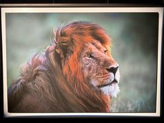 -罗红摄影艺术馆