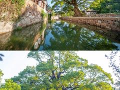 -苏州太湖国家湿地公园