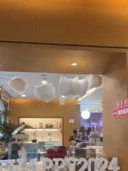 -杭州贝瑞斯美华妇儿医院·早孕·产检·儿科