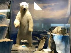 -国家自然博物馆