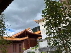 -深圳仙湖植物园