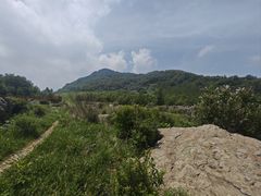 -白草畔自然风景区