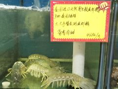 -蚝专家(北滘店)