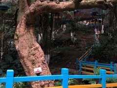 -天鹿湖森林公园