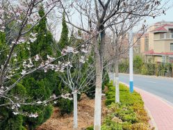 -缤卡妮肌肤管理中心