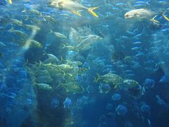 -波塞冬旅游度假区