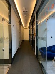 -DEM缔怡美科技美容
