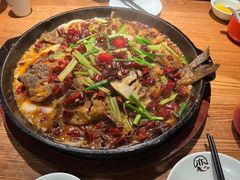 -老板恋上鱼(高新万达店)