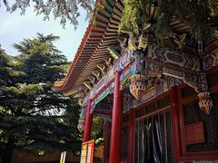 -龙口南山旅游景区