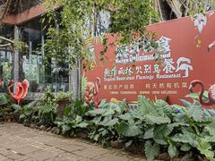 -海南热带野生动植物园
