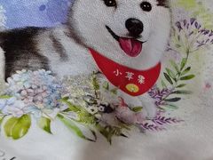 -Husky Go! 哈士奇体验馆·宠物咖啡厅狗咖
