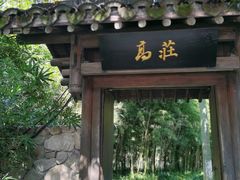 -西溪国家湿地公园