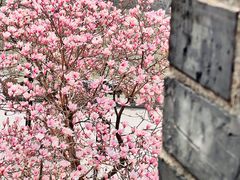 -常州明城墙