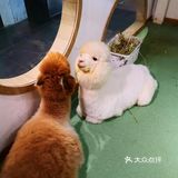 一年1°的六一儿童节是小孩子的节日。
