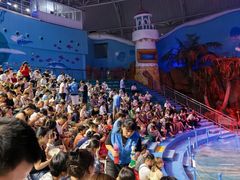 -烟台海昌鲸鲨海洋公园