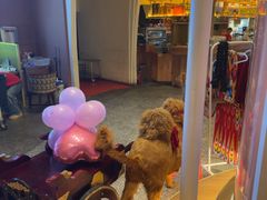 -天山传奇新疆菜(SKLP店)