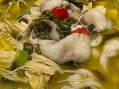 -鱼你在一起(新森兰花园城店)