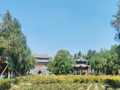 -洛阳白马寺