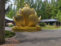 -东平国家森林公园