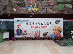 -呀诺达热带雨林