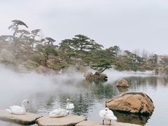 -罗红摄影艺术馆