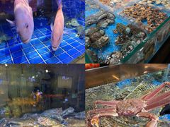 -徐记海鲜(观沙岭|滨江新城店)