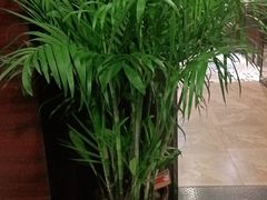 -城南往事·鲁菜济南菜(龙奥万科店)