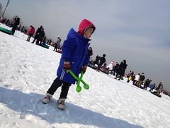 -绿野森林乐园冰雪季