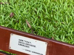 -福田红树林生态公园