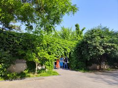 -北京鲁迅博物馆(北京新文化运动纪念馆鲁博馆区)
