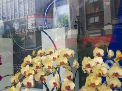 -精益眼镜(春熙路店)