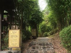 -崇阳三特浪口温泉