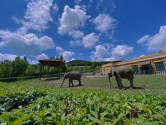 -哈尔滨北方森林动物园