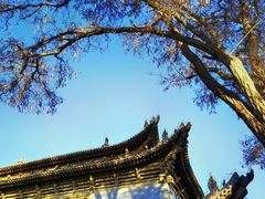 -张掖大佛寺景区