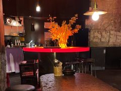 -毛辣果·酸(OHA复兴西路店)