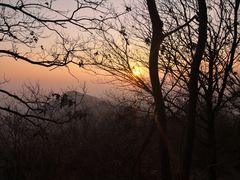 -紫金山山顶公园