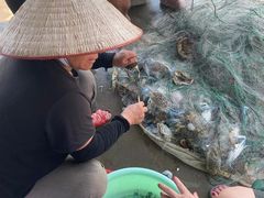 -万尾金滩