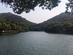 -白马涧龙池景区