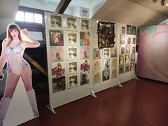 -树懒黑胶唱片店(中山路店)