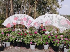 -华南国家植物园-售票处