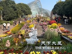 -南山植物园