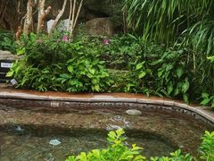 -海口观澜湖火山温泉谷