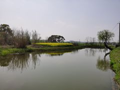 -嘉北郊野公园