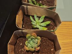 -星巴克臻选(长沙运达中央广场店)