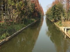 -上海长兴岛郊野公园