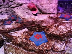 -沈阳海洋探索中心