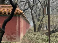 -北陵公园